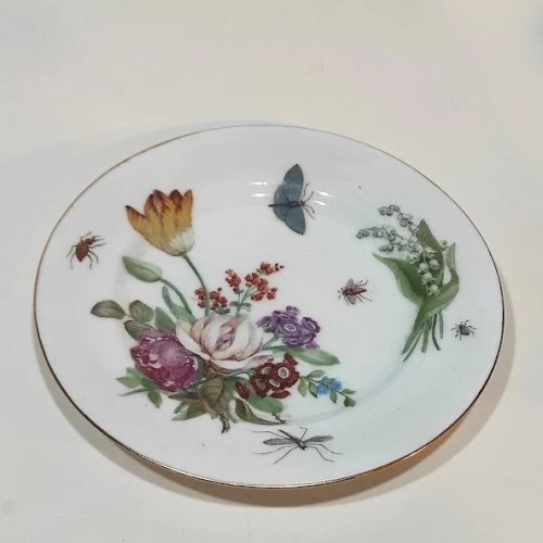 Tasse à thé Ancienne en porcelaine de Saxe Dresdes, XIXème siècle, insectes, papillons et fleurs