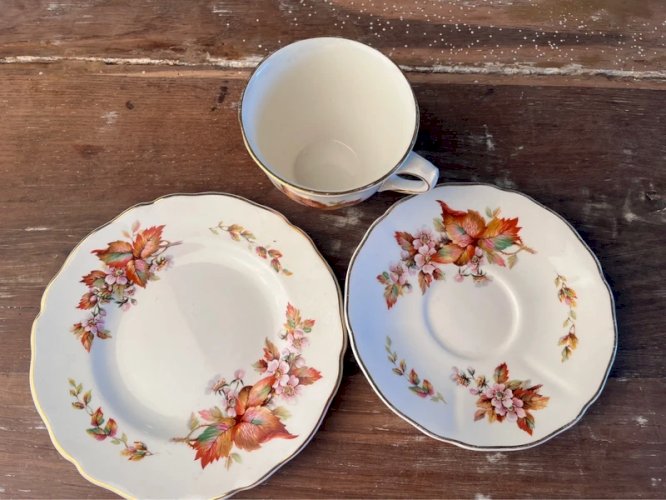 Tasse anglaise Royal Doulton modèle Wilton