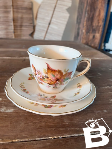 Tasse anglaise Royal Doulton modèle Wilton