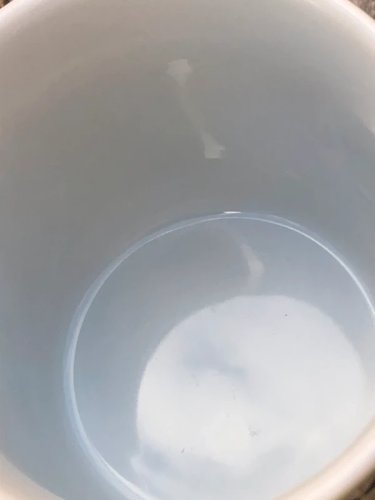 Tasse Bouchara motif chat