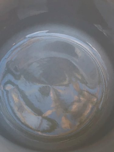 Tasse Disney pour apprendre les chiffres et les couleurs