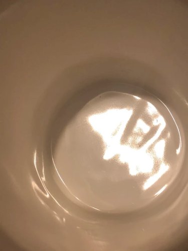 Tasse en porcelaine Anglaise Dunoon motifs fleurs