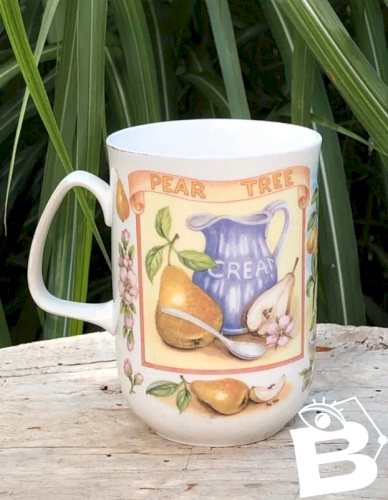 Tasse en porcelaine Anglaise Rose of England