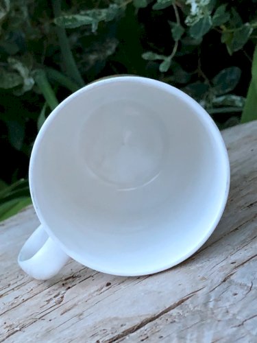Tasse en porcelaine Anglaise Rose of England
