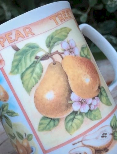 Tasse en porcelaine Anglaise Rose of England