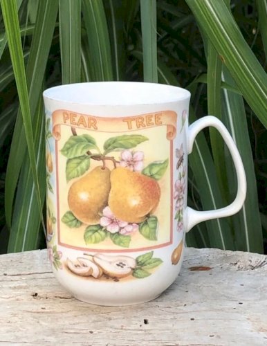 Tasse en porcelaine Anglaise Rose of England