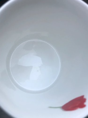 Tasse en porcelaine Fine Bone China motif Tulipe