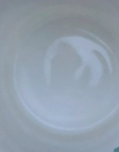 Tasse en porcelaine Roy Kirkham motifs fruits