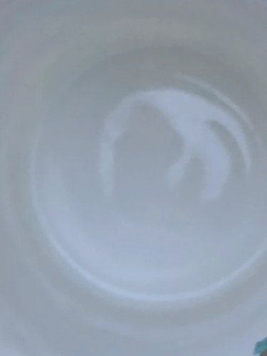 Tasse en porcelaine Roy Kirkham