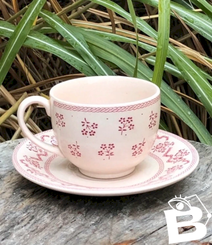 Tasse et soucoupe rose clair England Johnson Brothers modèle Petite Fleur