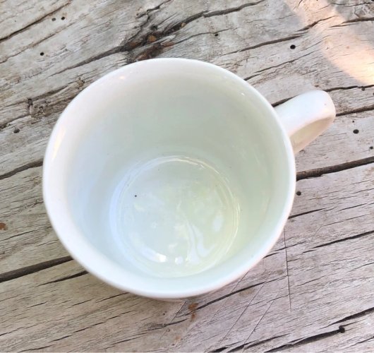 Tasse et soucoupe vintage GIEN motifs fleurs