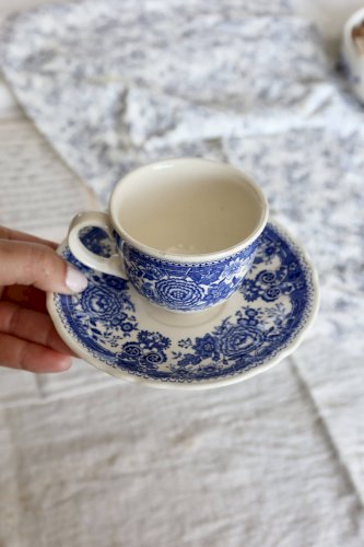 Tasse et soucoupe vintage porcelaine Villeroy & Boch décor « Burgenland »