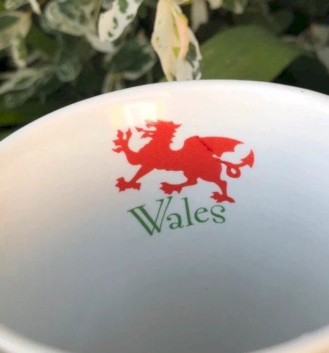 Tasse Pays de Galles LTD