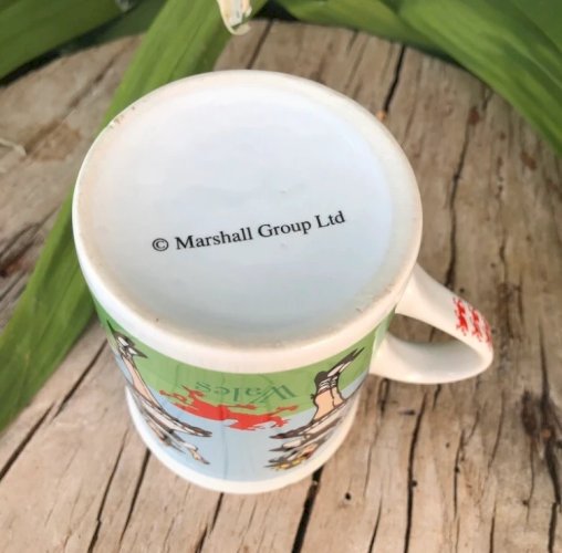 Tasse Pays de Galles LTD
