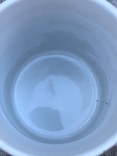 Tasse style romantique Thé à la Rose