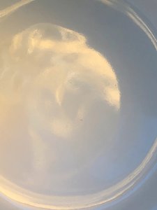 dot