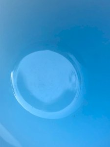dot