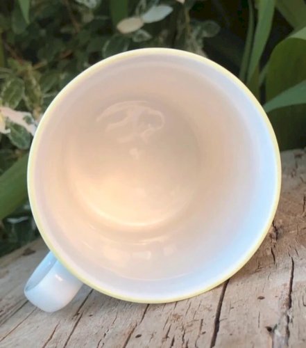 Tasse vintage en porcelaine Rose of England motifs fraises et framboises