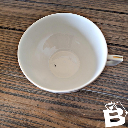 Tasses à café/thé vintage en porcelaine, motif floral (rose et fleurs)