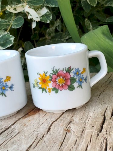 Tasses à expresso vintage en porcelaine Bavaria motifs fleurs