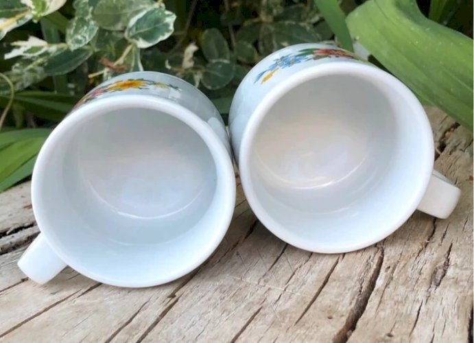 Tasses à expresso vintage en porcelaine Bavaria motifs fleurs