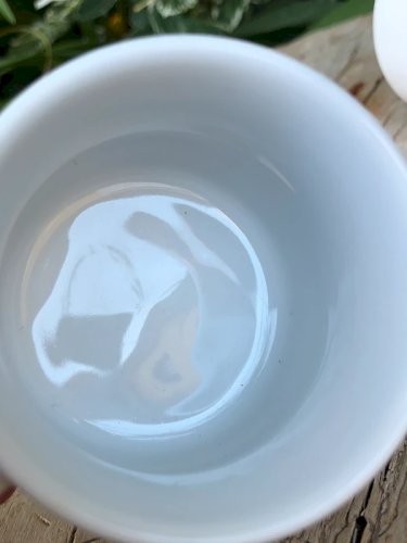 Tasses à expresso vintage en porcelaine Bavaria motifs fleurs
