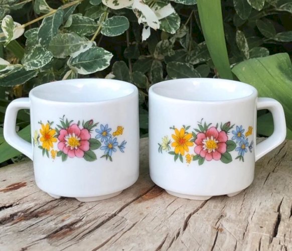 Tasses à expresso vintage en porcelaine Bavaria motifs fleurs