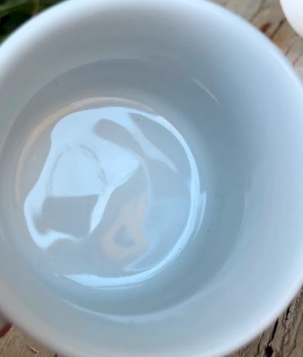 Tasses à expresso vintage en porcelaine Bavaria motifs fleurs