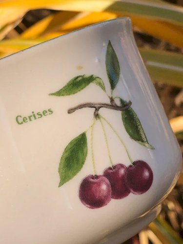 Tasses Carrigaline Pottery Ireland motifs fruits