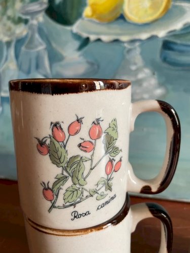 Tasses en grès vintage Botanica