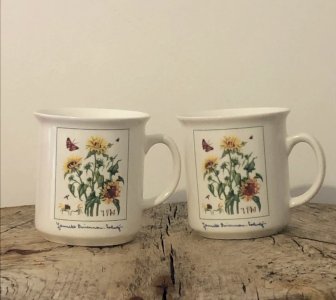 Retro vintage JBS botanical pattern mugs