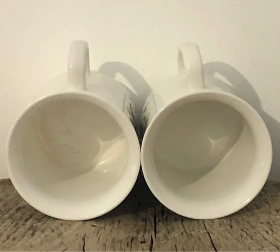 Tasses rétro vintage JBS motifs botaniques