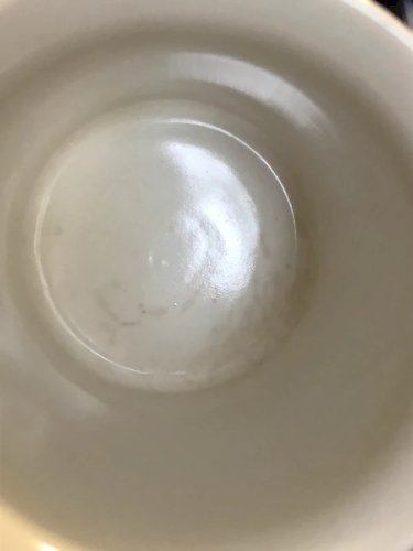 Tasses rétro vintage JBS motifs botaniques