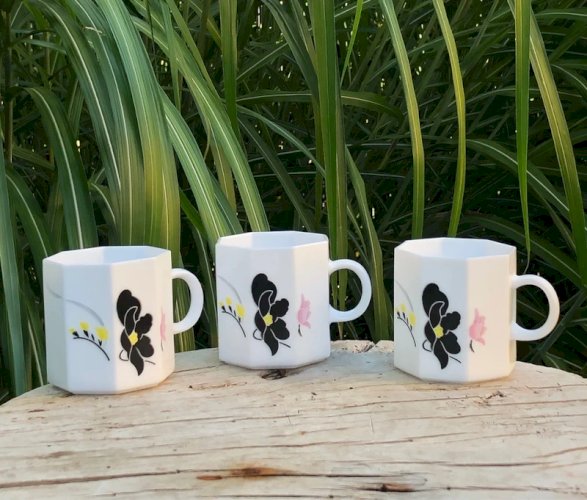 Tasses vintage Arcopal