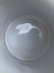 dot