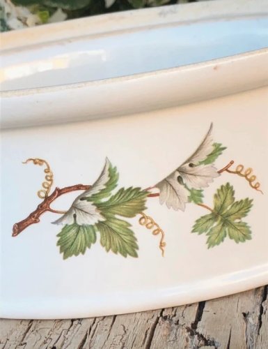 Terrine ovale blanche motifs lierres