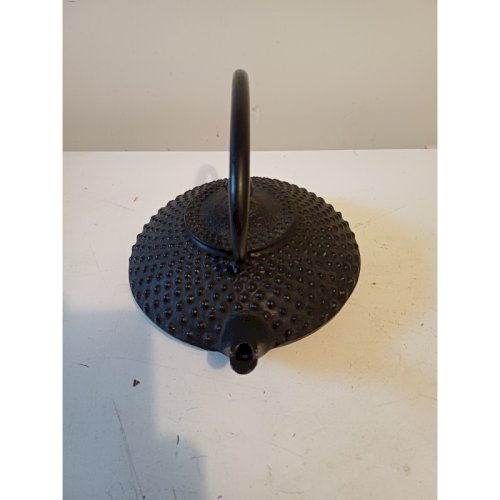 Théière Tetsu-Kyusu en fonte