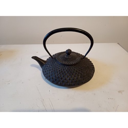 Théière Tetsu-Kyusu en fonte