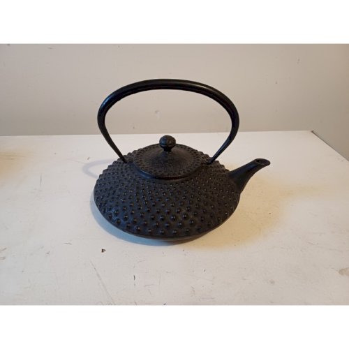 Théière Tetsu-Kyusu en fonte