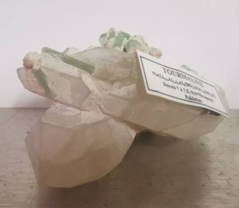 TOURMALINE Stone MINERALS MINERALOGY 19VE4 19/12