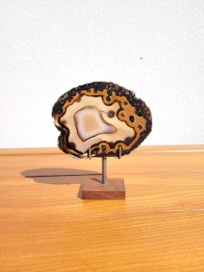 dot