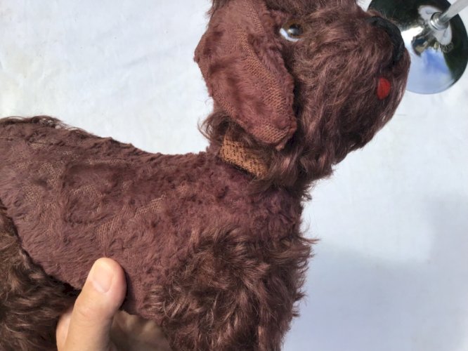 Très Ancien petit caniche  en peluche rembourrage  yeux