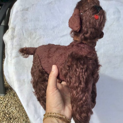 Très Ancien petit caniche  en peluche rembourrage  yeux