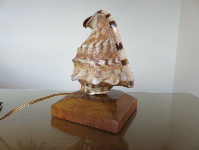 TRES ANCIENNE LAMPE COQUILLAGE SUR SOCLE BOIS ANNEES 40 50 VINTAGE 