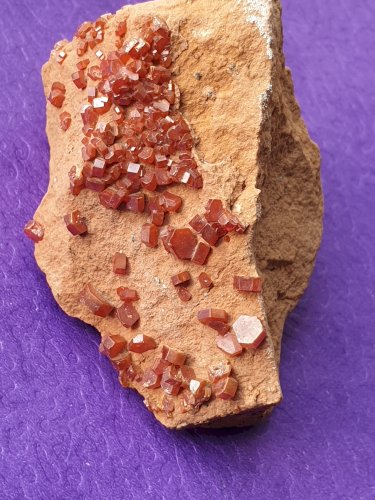 Très belle Vanadinite du Maroc avec cristaux bien formés longueur 5 cm