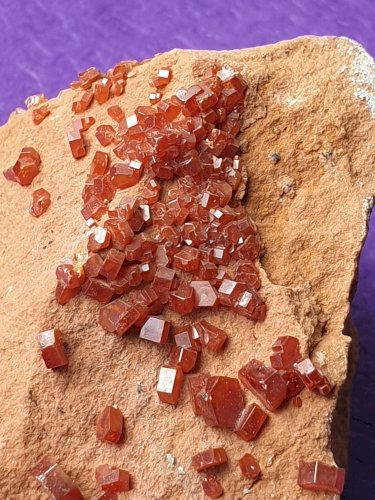 Très belle Vanadinite du Maroc avec cristaux bien formés longueur 5 cm