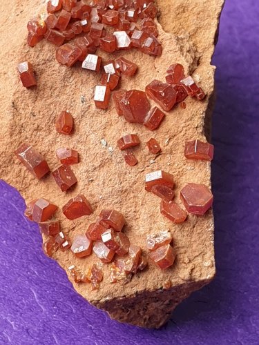 Très belle Vanadinite du Maroc avec cristaux bien formés longueur 5 cm