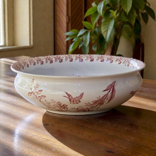 Très grande coupe oiseau XIXe signée St Amand collection Orchidées