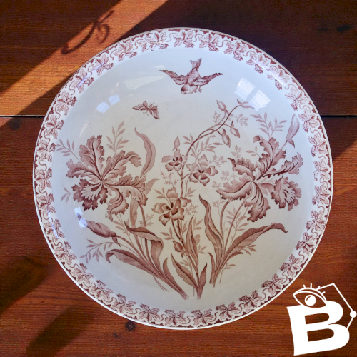 Très grande coupe oiseau XIXe signée St Amand collection Orchidées