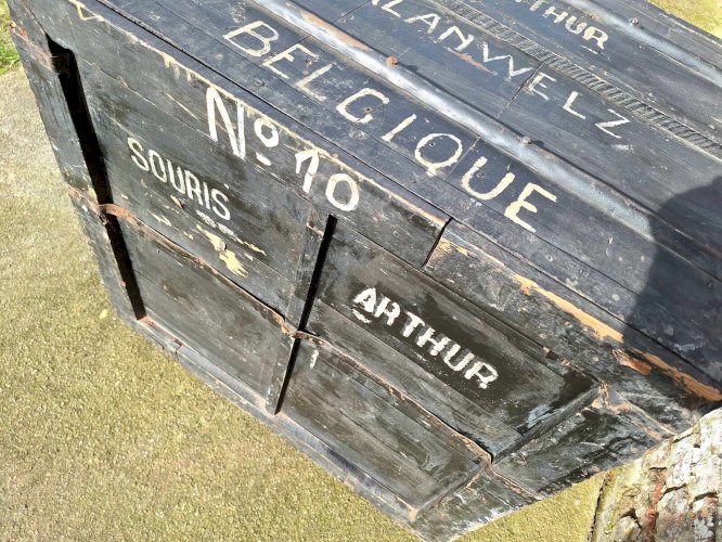 Très Grande Malle de Voyage Ancienne, Coffre Vintage